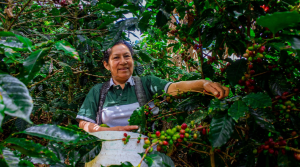 Peru la prosperidad de chirinos
