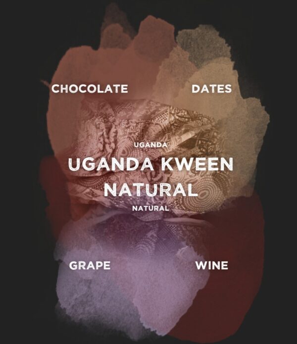 | Uganda Kween Natural | zoet | dadels, chocolade, wijn - Afbeelding 2